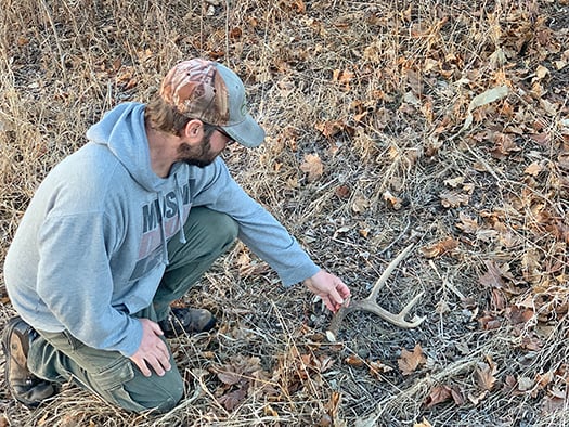Five tips to put you on more shed deer antlers