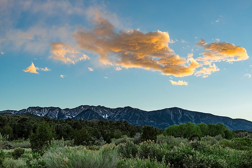 Humboldt-Toiyabe National Forest as seen from Ely, Nevada.