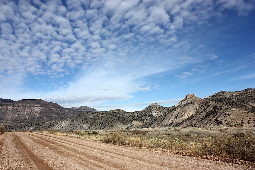 A road in Gila National Forest near Gila Hot Springs.