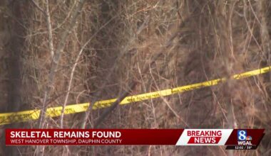 Skeletal human remains found in Dauphin County woods, Pa. troopers say