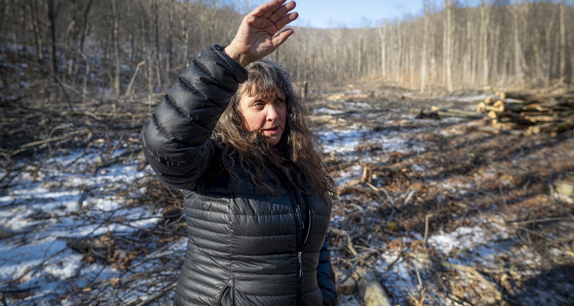 Spirit Hollow silent retreat and Ruffed Grouse Society take opposite stands on Green Mountain National Forest logging