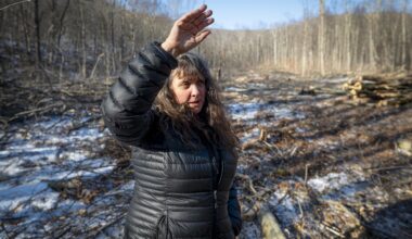 Spirit Hollow silent retreat and Ruffed Grouse Society take opposite stands on Green Mountain National Forest logging