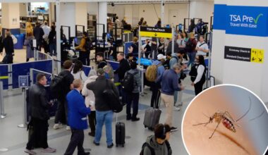 Travel warning for 16 countries with higher risk of painful disease