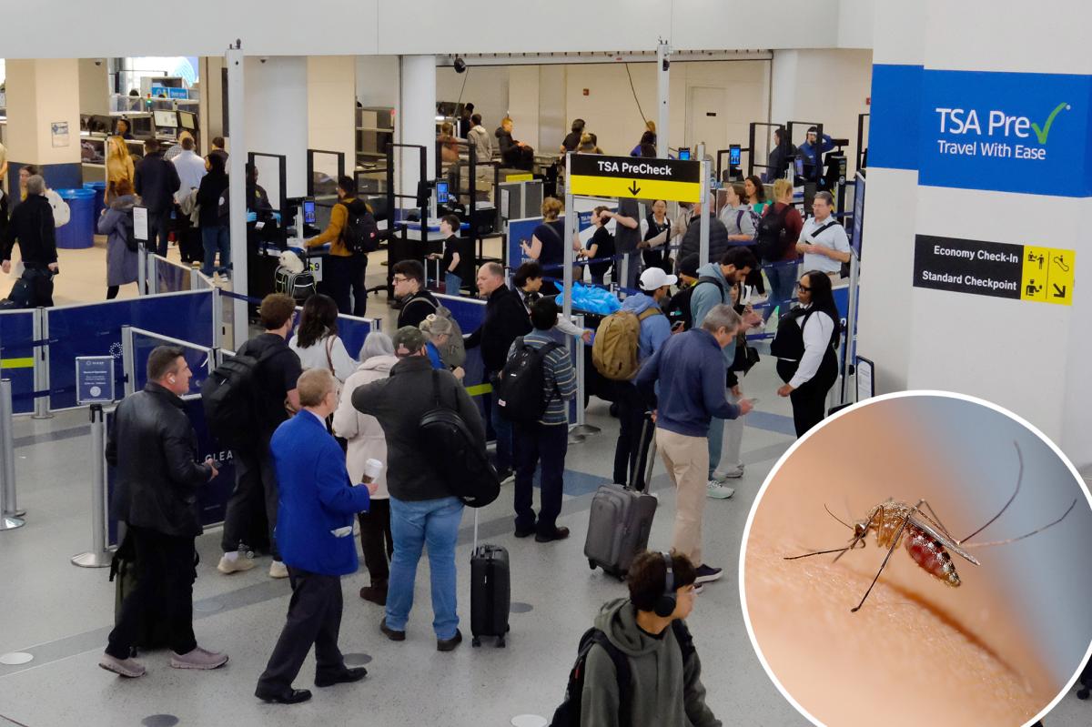 Travel warning for 16 countries with higher risk of painful disease