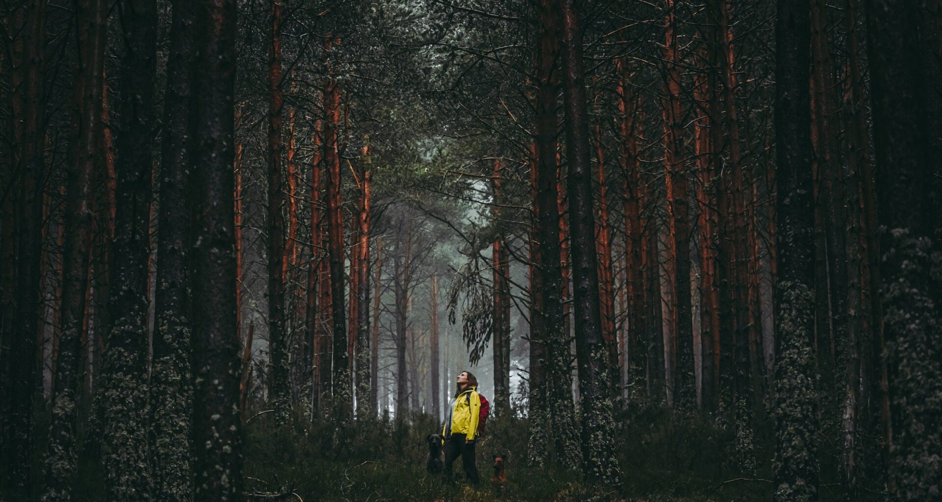 woman standing in yellow jacket in woods