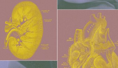 A Billionaire-Backed Startup Wants to Grow 'Organ Sacks' to Replace Animal Testing