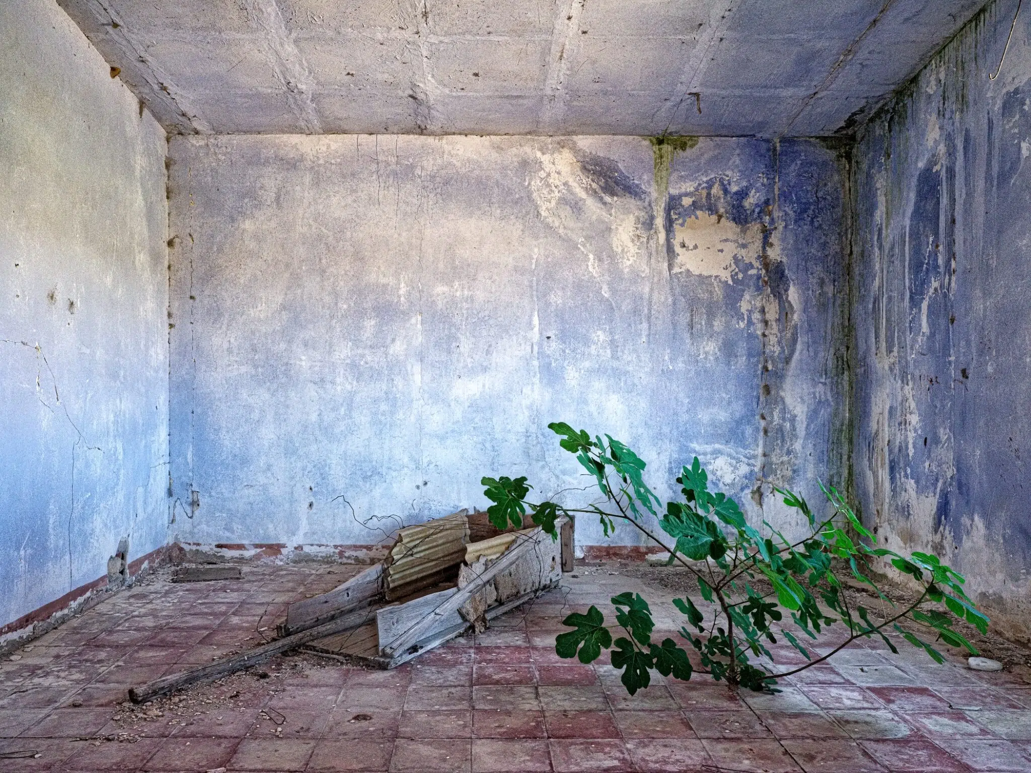 Abandoned structures in Puglia, Italy, as part of Steven Seidenberg’s “The Architecture of Silence” series