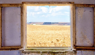 Capturing the Unseen Through Quiet, Meditative Photography