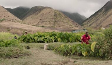 Lahaina family’s land struggle featured in new documentary : Maui Now