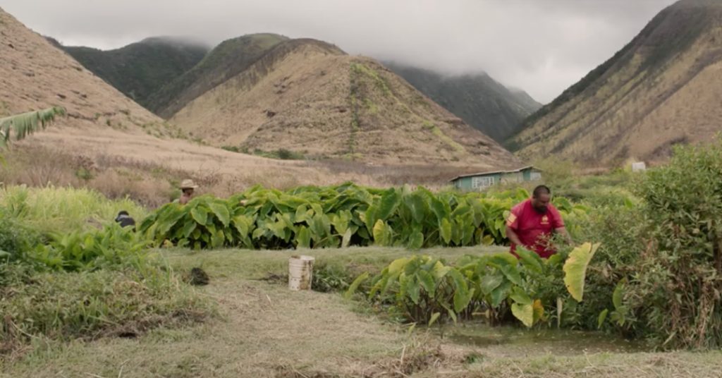 Lahaina family’s land struggle featured in new documentary : Maui Now
