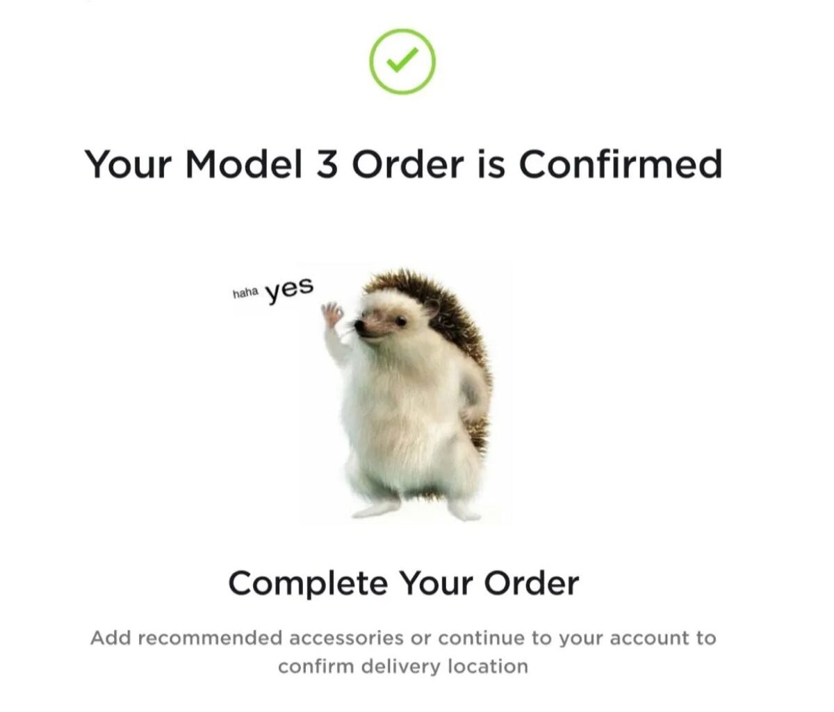 What It Means and Where It Came From