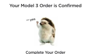 What It Means and Where It Came From