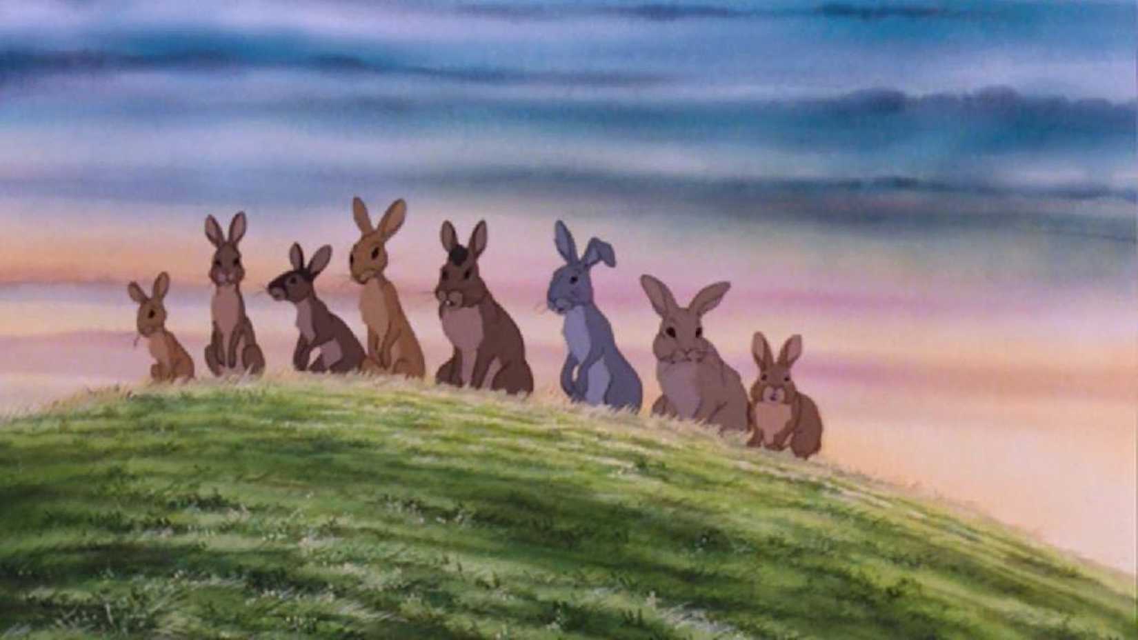 The rabbits in Watership Down