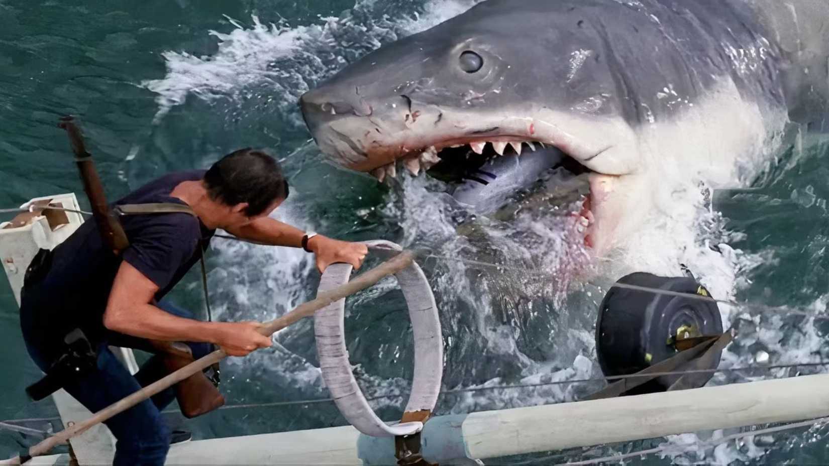 The shark attacking Brody in Jaws