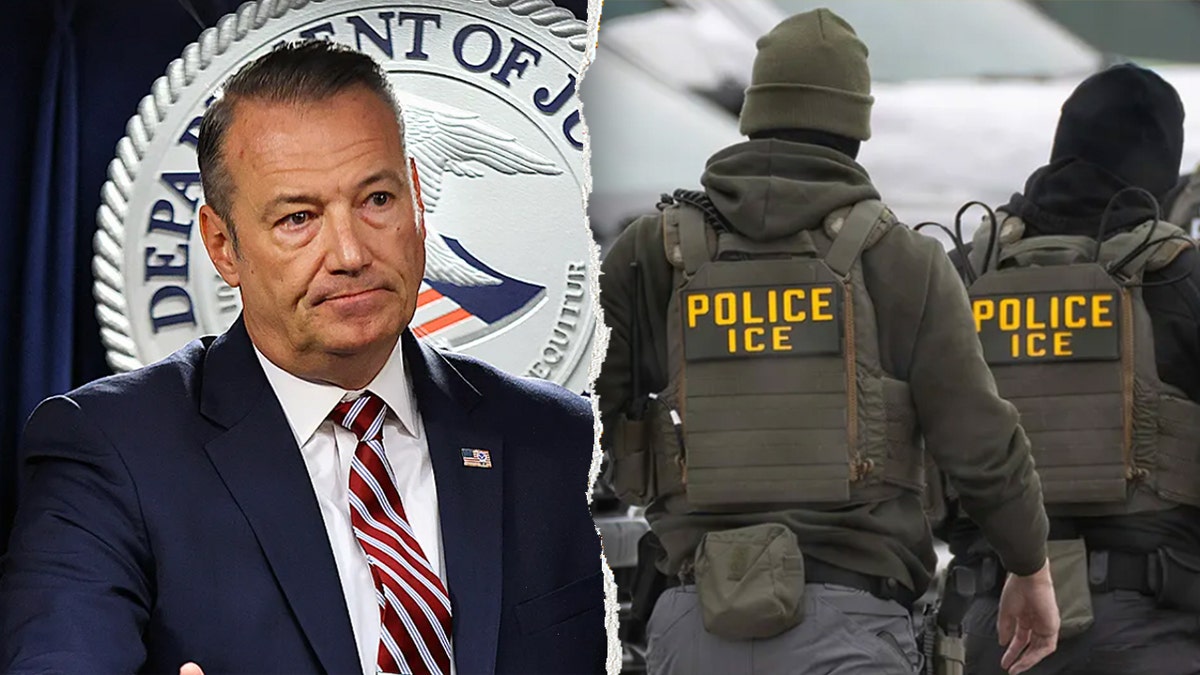 Todd Lyons ICE agents