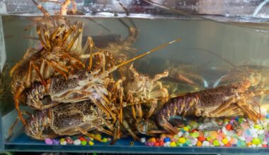 Tech Employees Are Reportedly Being Evaluated by How Fast They Burn Through LLM Tokens