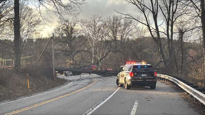 A tree fell on Ingomar Road in North Park