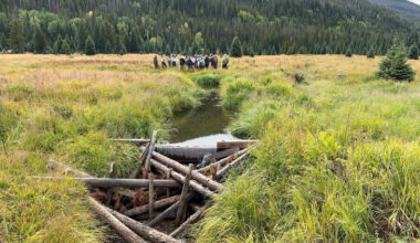 Bill banning publlc land beaver kills heats up legislature