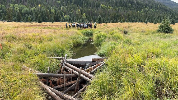 Bill banning publlc land beaver kills heats up legislature
