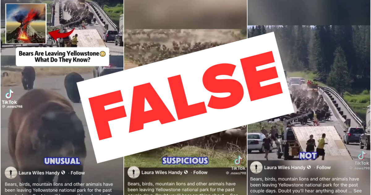 No, animals are not fleeing Yellowstone National Park