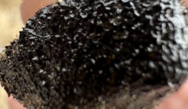 Meteorite hunters call Northeast Ohio's meteor historic