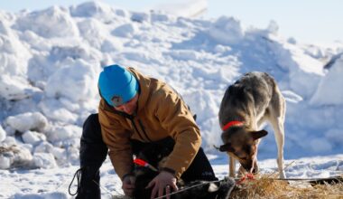 Iditarod teams contend with whipping wind, watery overflow and wild bison in race’s first third