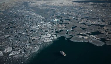 Arctic sea ice shrinks to tie lowest level for winter