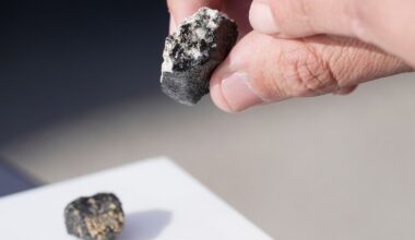 Meteorite hunters in Ohio search for fragments that fell to Earth with a boom