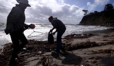 Industrial chemicals have reached the middle of the oceans, new study shows