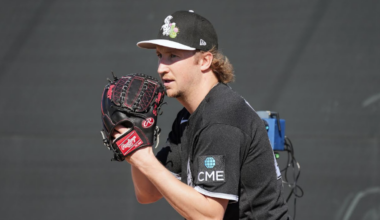 Erick Fedde hoping to crack rotation in return to White Sox