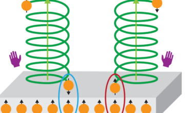 How the twist of a molecule affects electron spin