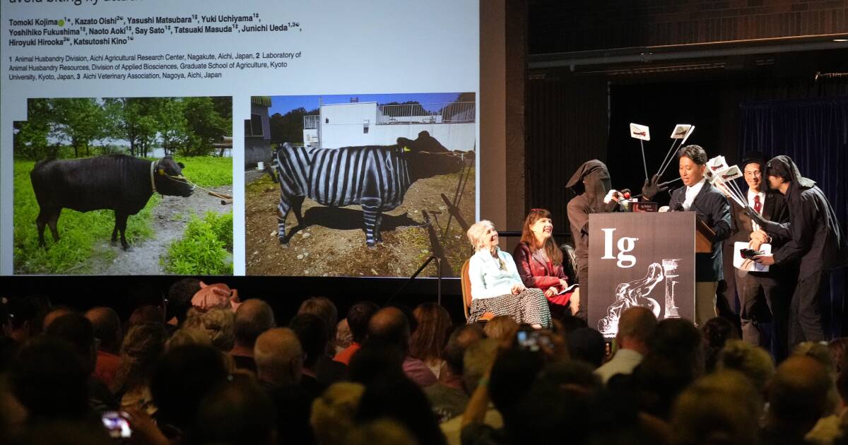 Concern over US travel visas prompts Ig Nobels to move its awards from Cambridge to Europe