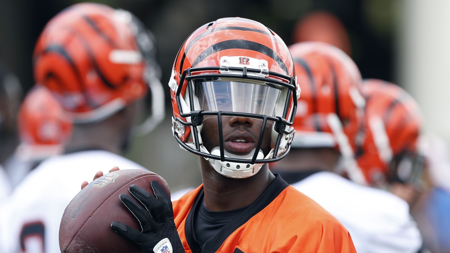 Josh Johnson returns to the Bengals for his third stint in Cincinnati