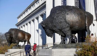 America's Official Mammal, the Bison, Gets a Bronze Tribute for the Country's 250th Birthday