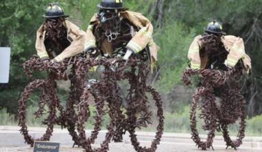 ‘Endurance’ artist saddened by roundabout sculpture damage