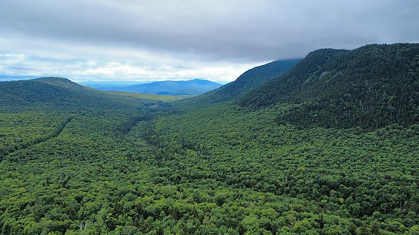 Victory State Forest, Vermont.