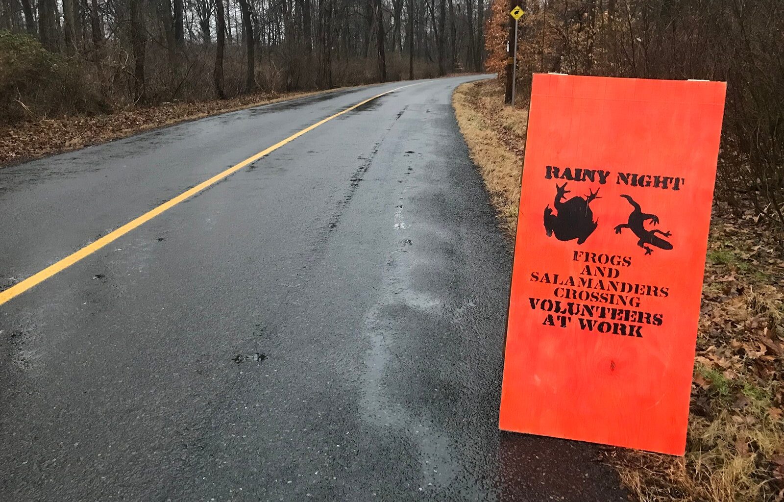 Pennsylvania to reduce animal collisions with wildlife corridors