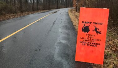 Pennsylvania to reduce animal collisions with wildlife corridors