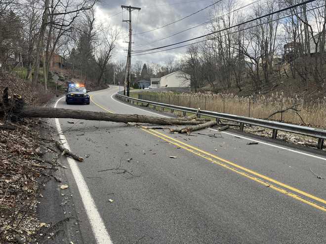 A tree fell on Vilsack Road in Shaler Township