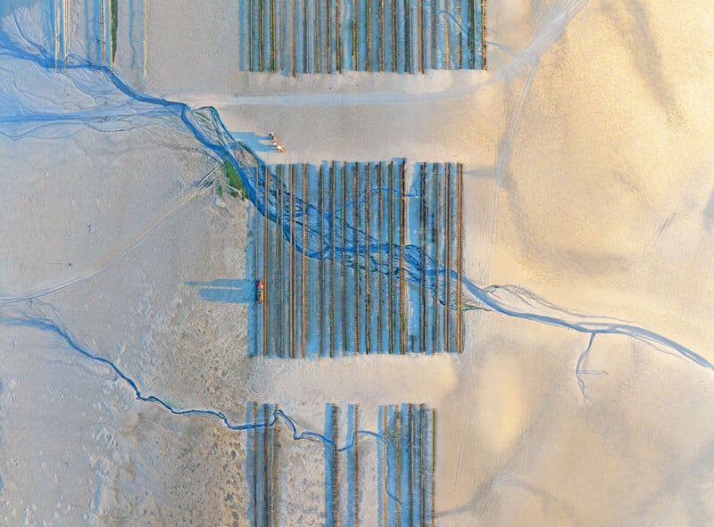 Aerial view of agricultural fields with parallel rows on sandy terrain, intersected by winding blue lines that look like streams, with two small vehicles working in the fields.
