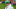 Tommy Fleetwood's son, Frankie Tommy Fleetwood's son, Frankie