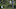 Haotong Li made a 10 on the par-5 13th hole on Sunday.