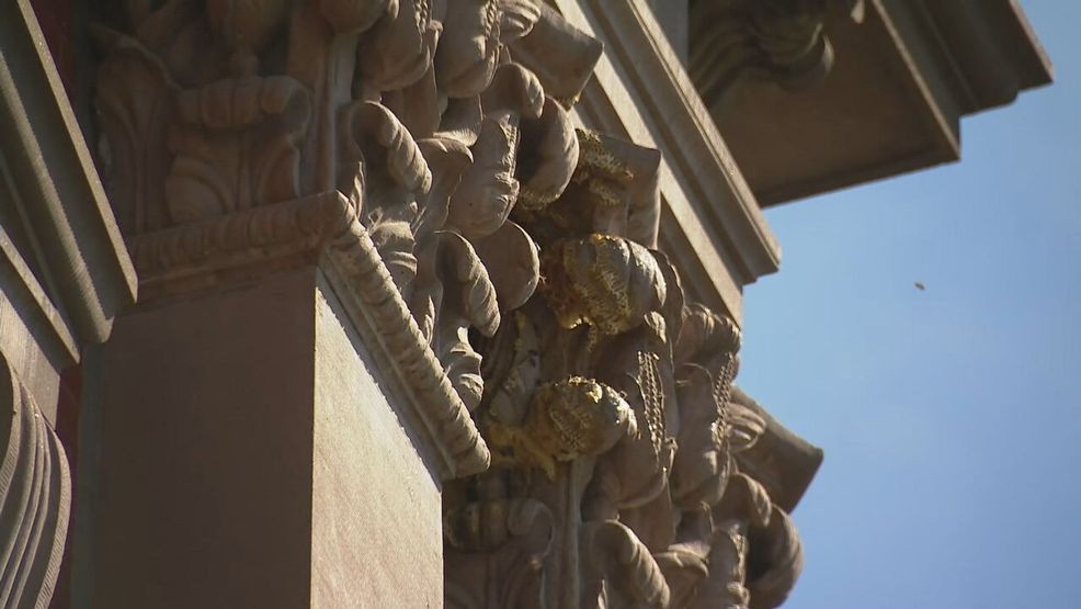 APRIL 2026 - A swarm of honey bees attached itself to the Renwick Gallery across the street from the White House. (7News){p}{/p}