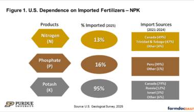 Figure 1. U.S. Dependence on Imported Fertilizers – NPK Infographic showing U.S. reliance on imported fertilizers in 2025: nitrogen 13%, phosphate 16%, and potash 95%. Major sources are Canada and Trinidad & Tobago for nitrogen, Peru for phosphate, and Canada (79%), Russia (12%), and Israel (3%) for potash.