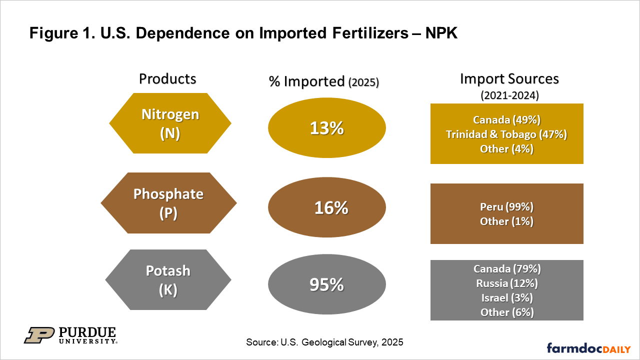 Figure 1. U.S. Dependence on Imported Fertilizers – NPK Infographic showing U.S. reliance on imported fertilizers in 2025: nitrogen 13%, phosphate 16%, and potash 95%. Major sources are Canada and Trinidad & Tobago for nitrogen, Peru for phosphate, and Canada (79%), Russia (12%), and Israel (3%) for potash.