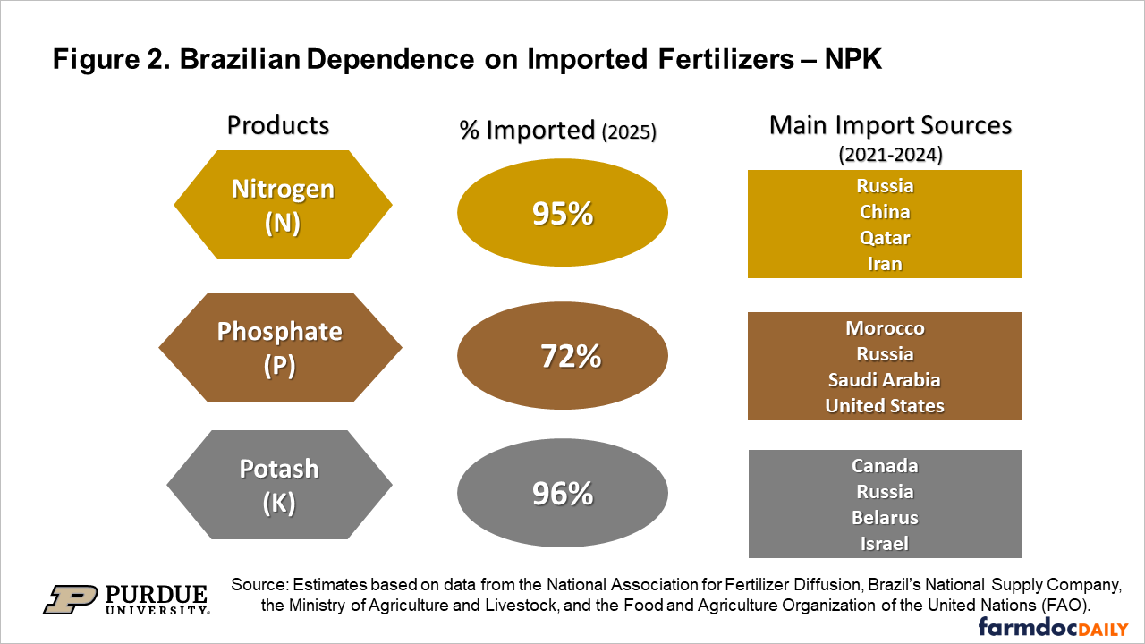 Figure 1. U.S. Dependence on Imported Fertilizers – NPK Infographic showing U.S. reliance on imported fertilizers in 2025: nitrogen 13%, phosphate 16%, and potash 95%. Major sources are Canada and Trinidad & Tobago for nitrogen, Peru for phosphate, and Canada (79%), Russia (12%), and Israel (3%) for potash.