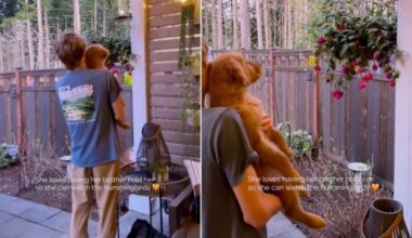 Yahoo lifestyle home