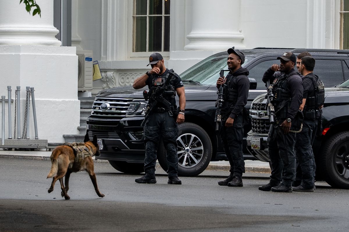 This comes just days after a man attempted to break into the White House after jumping over a security barrier
