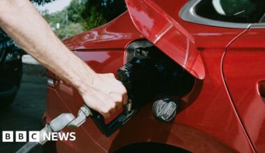 Fuel prices stop rising after 43 days of increases, RAC says - BBC