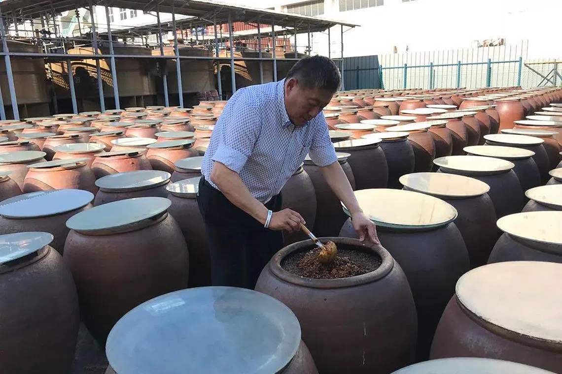 Mr Pek checking the condition of the soya bean paste in his factory’s natural fermentation drying yard.